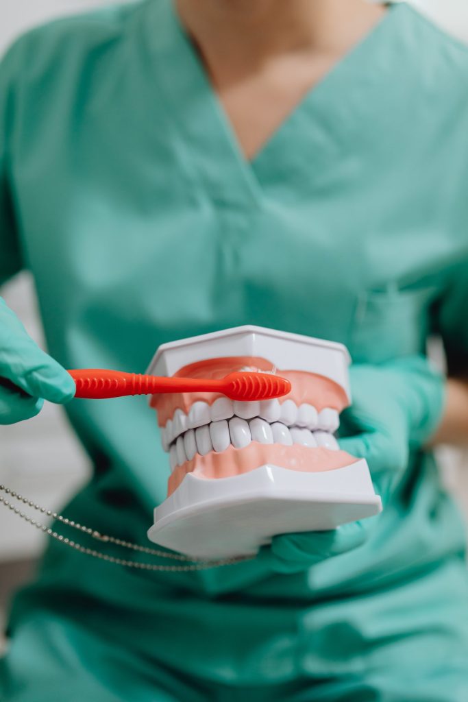 dentista mostrando como escovar os dentes e usando manequim odontológico de exemplo