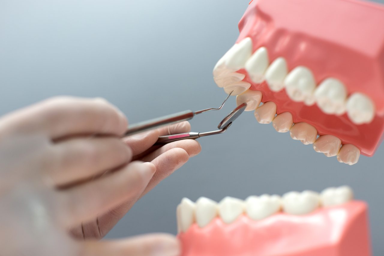 dentista mexendo em manequim odontológico