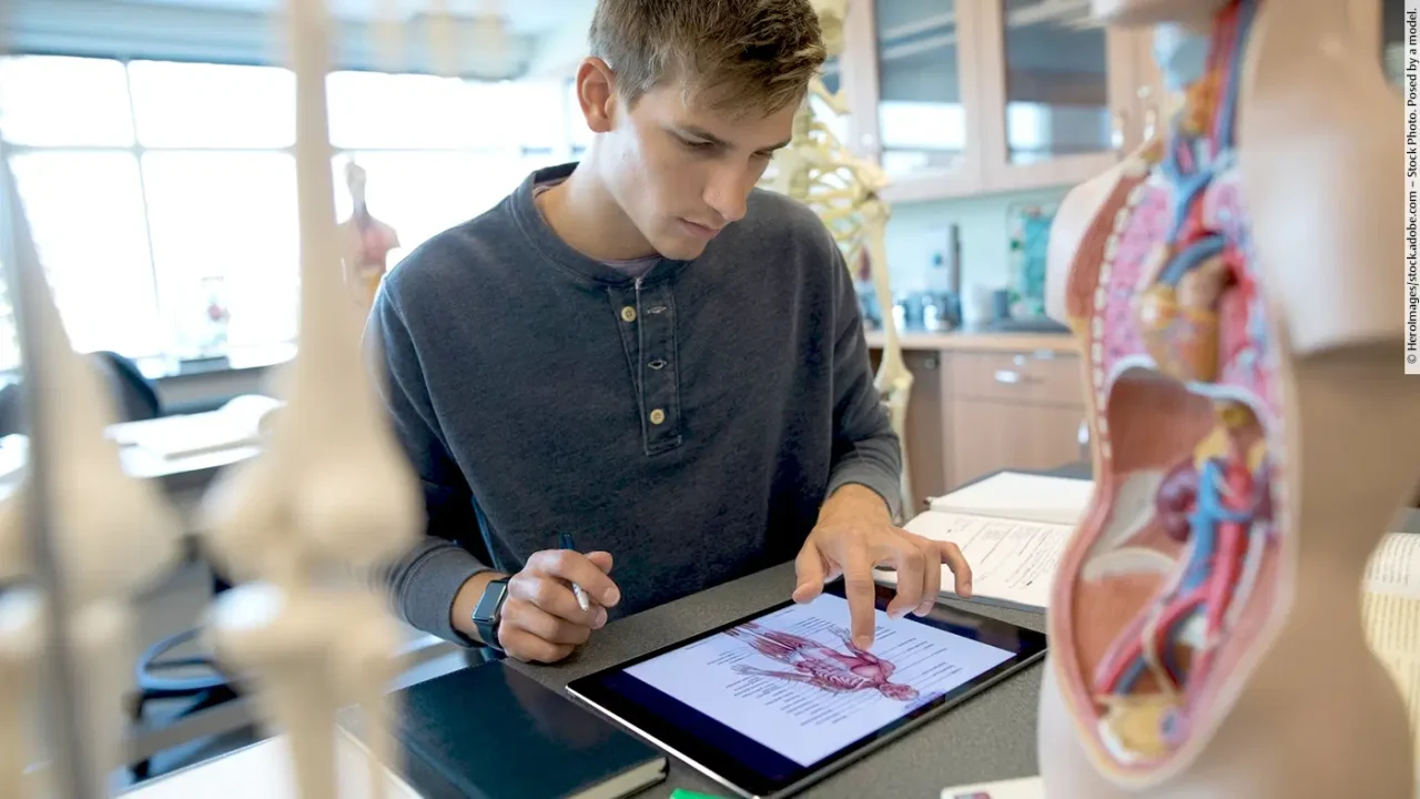 Homem jovem estudando anatomia por tablet