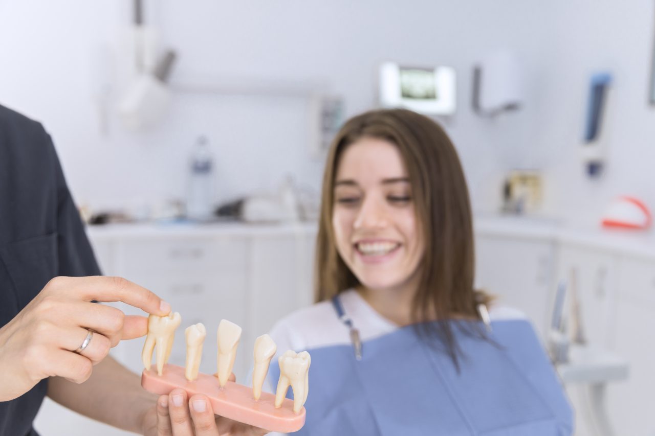 dentista mostrando dentes de modelo para paciente