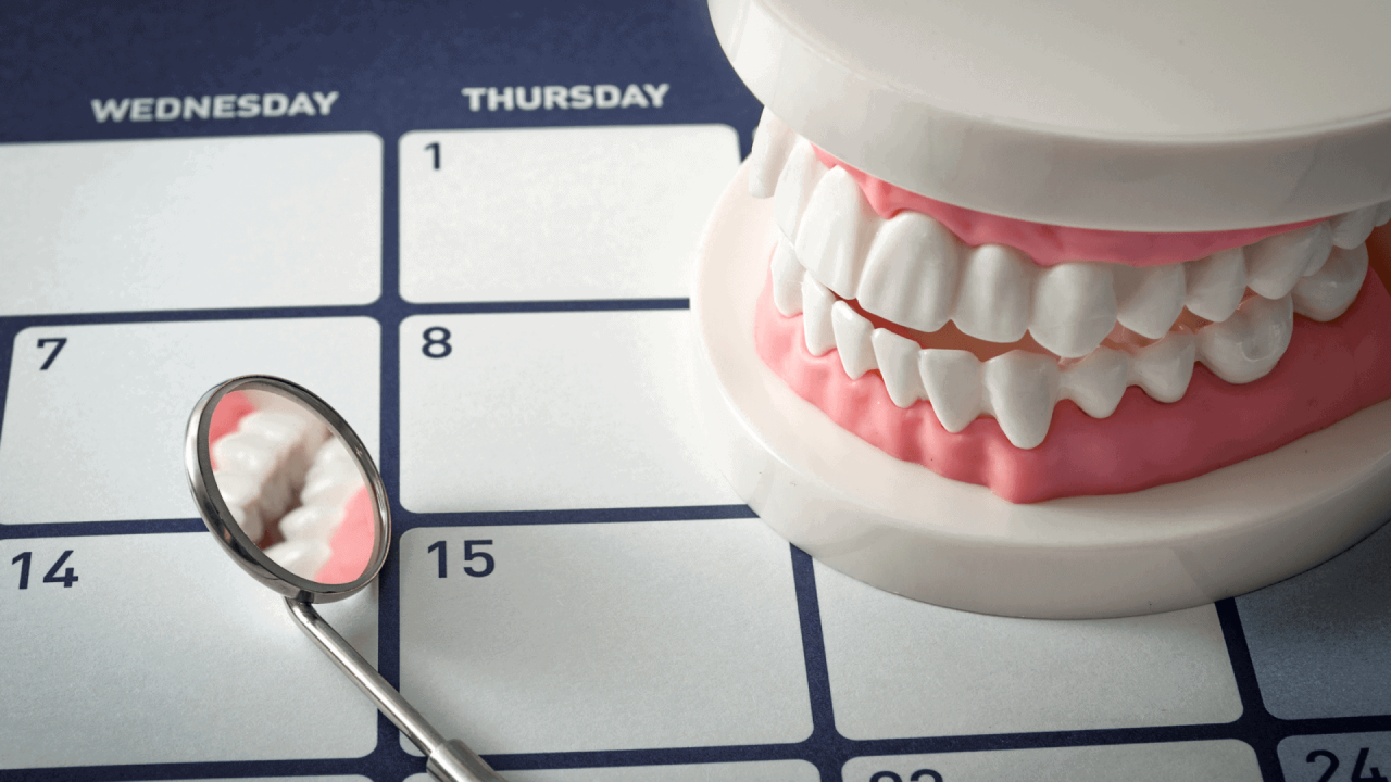 Manequim odontológico em cima de calendário com espelhinho ao lado.