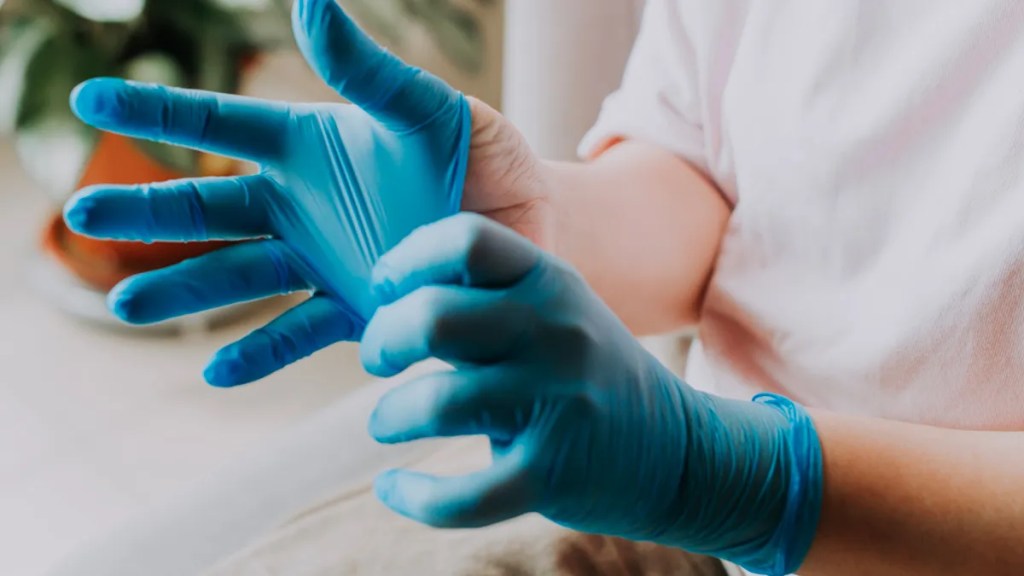 Colocando luvas de latex azul.